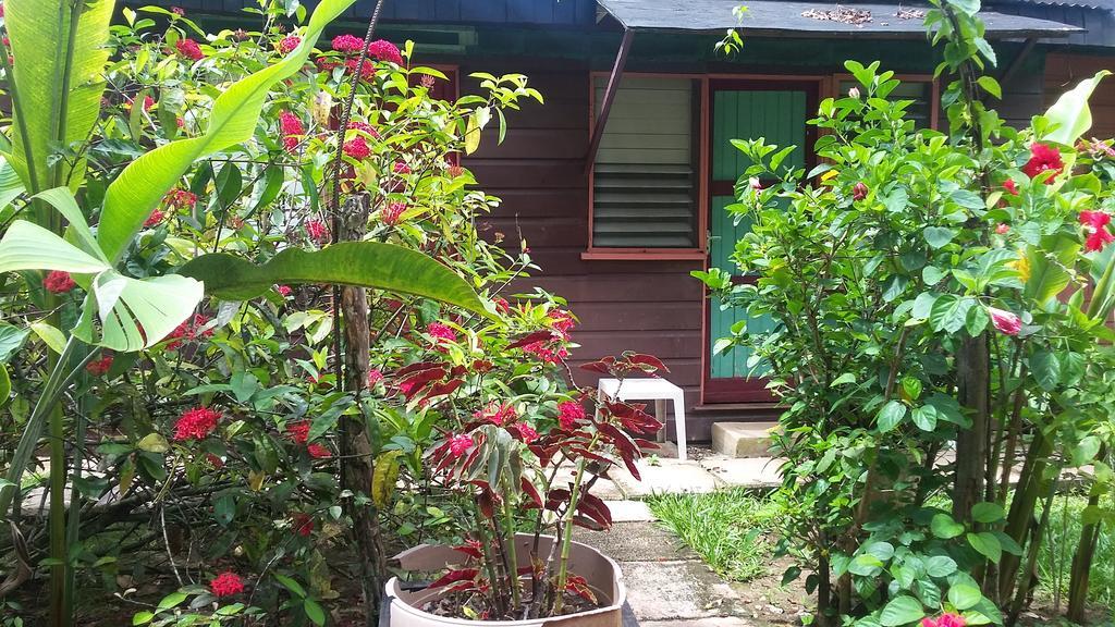Secret Cabins At Firefly Beach Cottage Negril Cameră foto